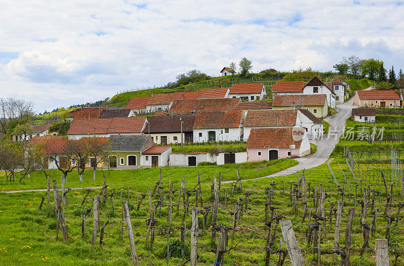 葡萄酒种植村“Mittelberg”(Langenlois, Kamptal，下奥地利)的小“Kellergasse”。